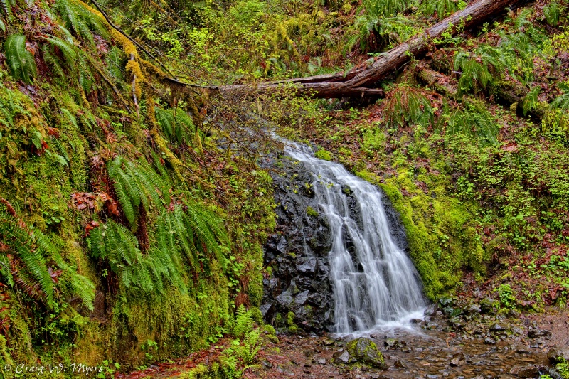 Along the Oneonta Trail