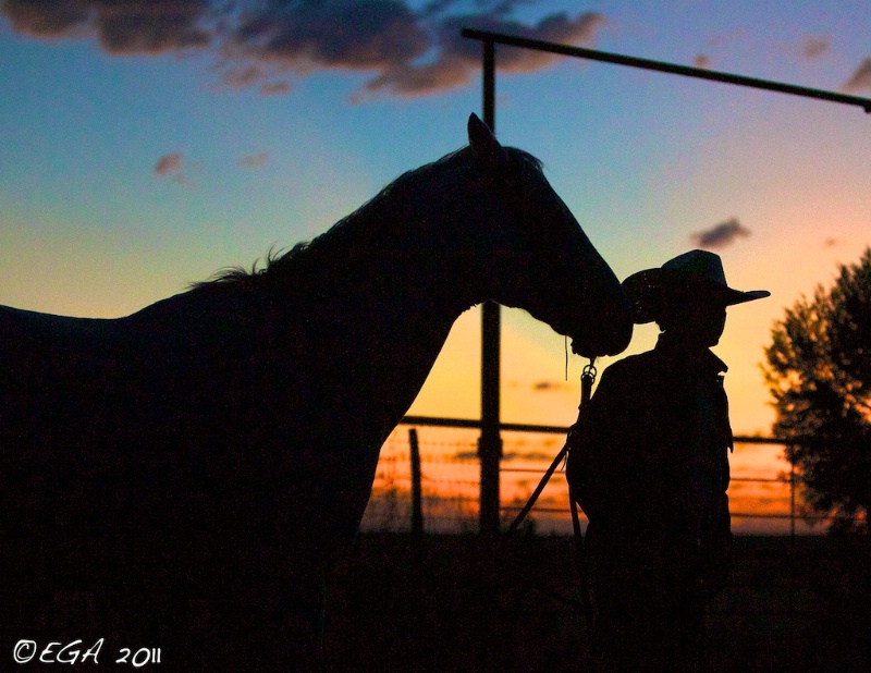 Silhouette cowboy and horse