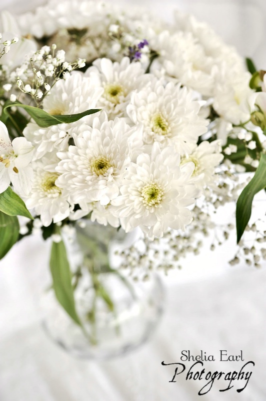 White Flowers@@White Tablecloth