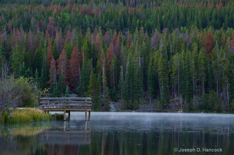 Foggy Dock at Sprague Lake