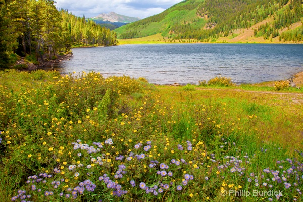 Spring Creek Vista