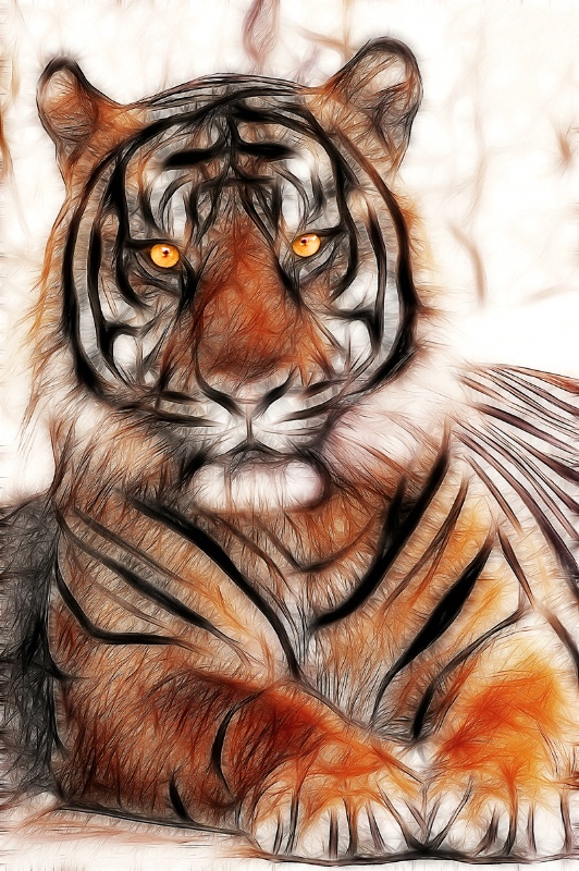 Artistic Tiger in SA--Fractalius x2