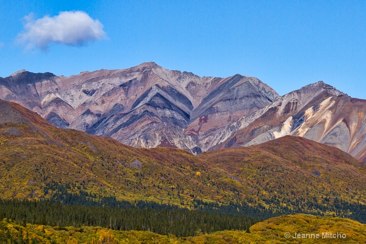 Denali National Park