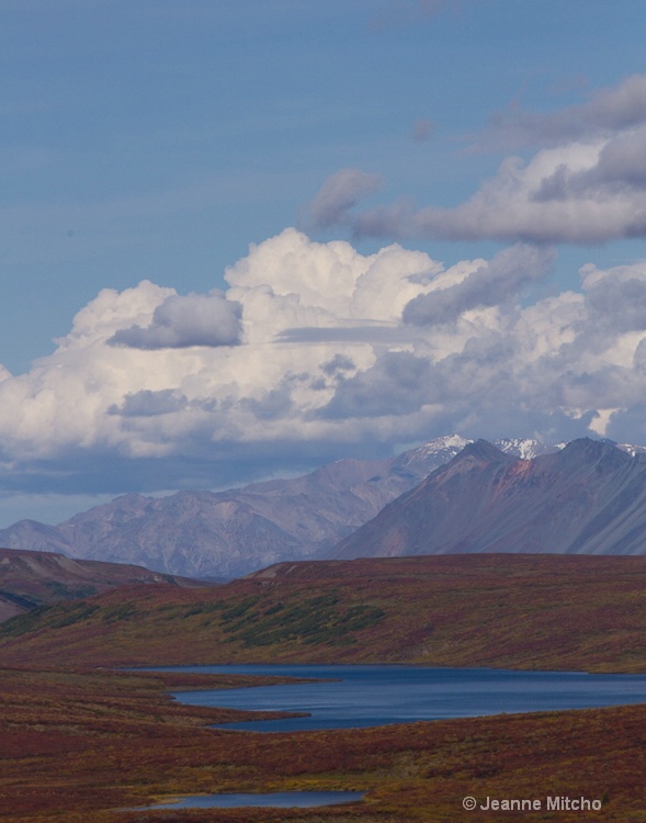 Denali Highway