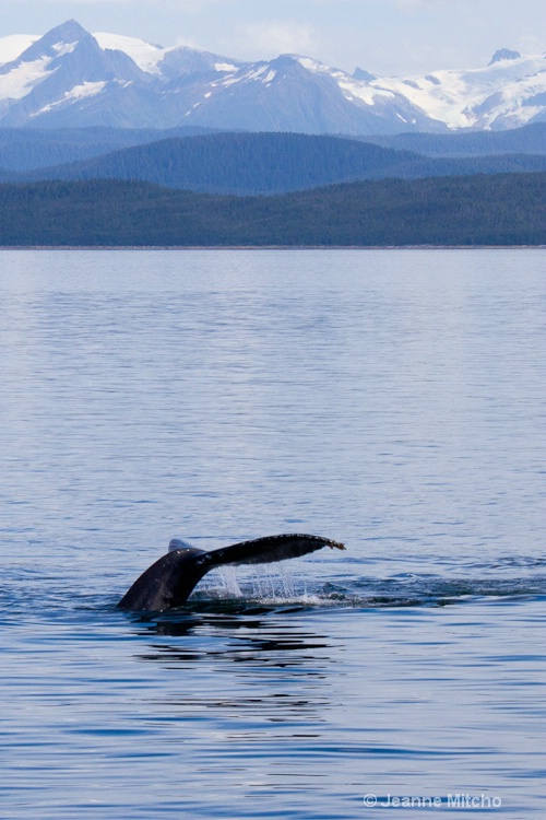 Auke Bay Juneau