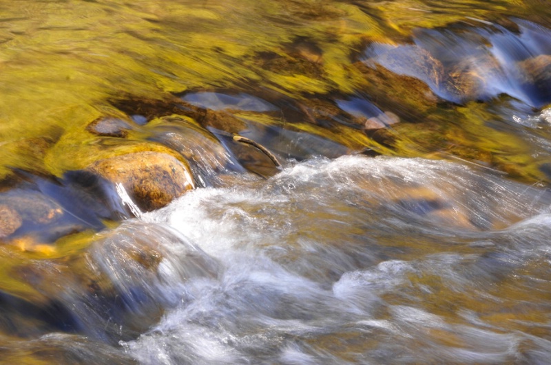 Golden Reflections