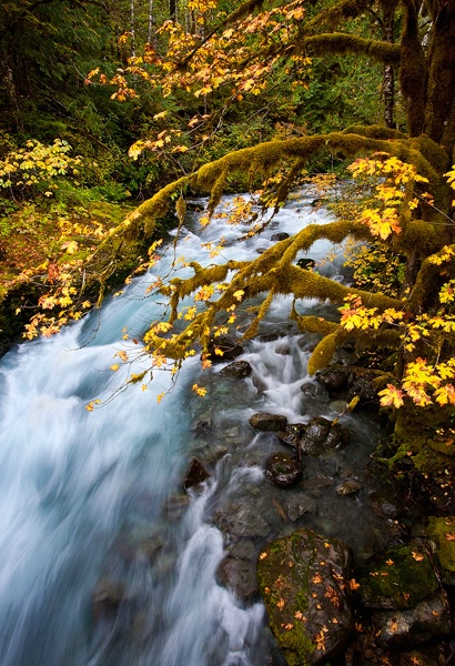 Autumn River