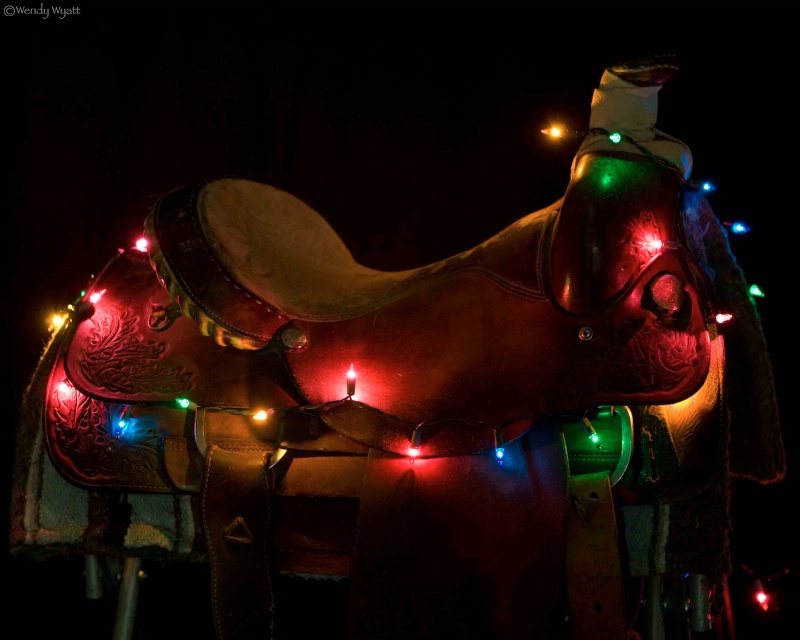 Christmas Saddle