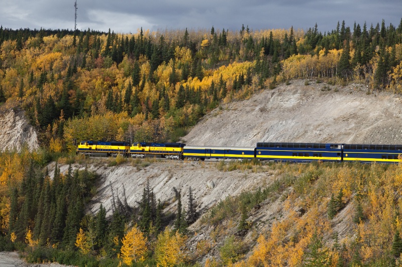 Fairbanks to Denali Train Ride