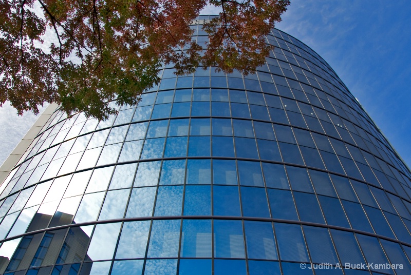 Niigata glass building 