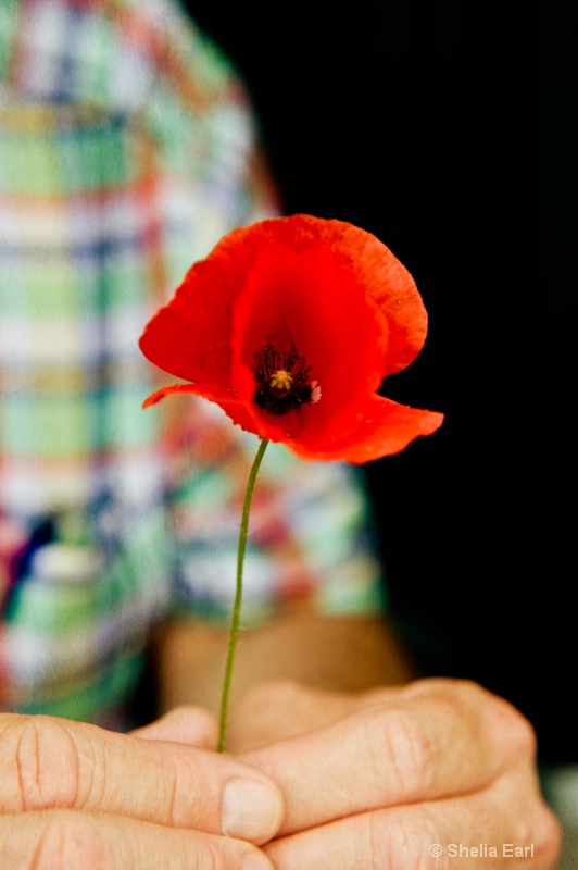 Flower In Hand