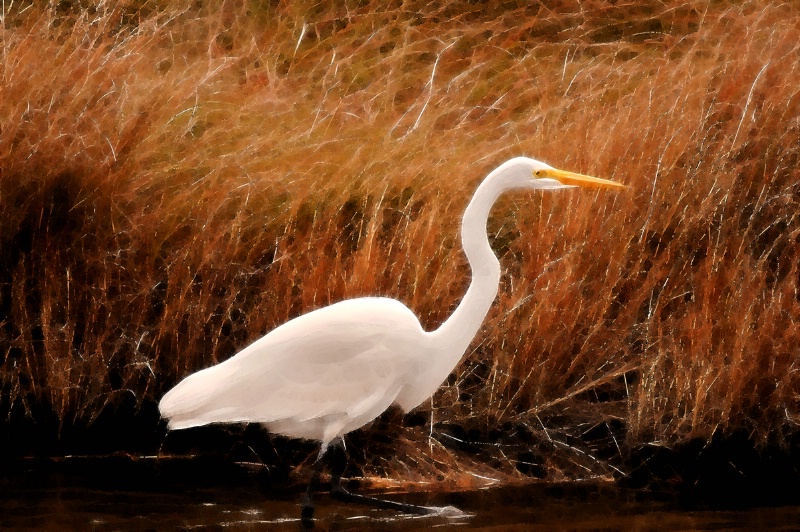 Chincoteague Egret Artwork