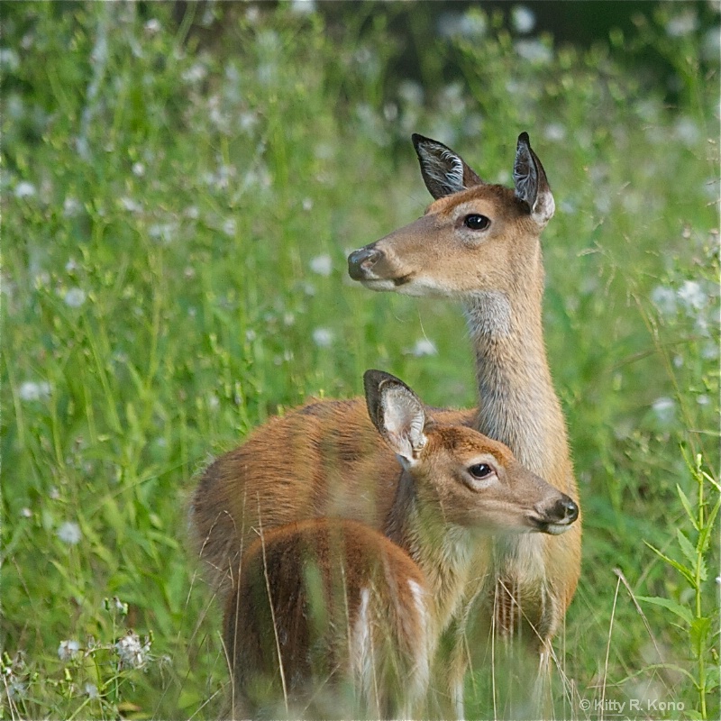 Wary Mom and Babe