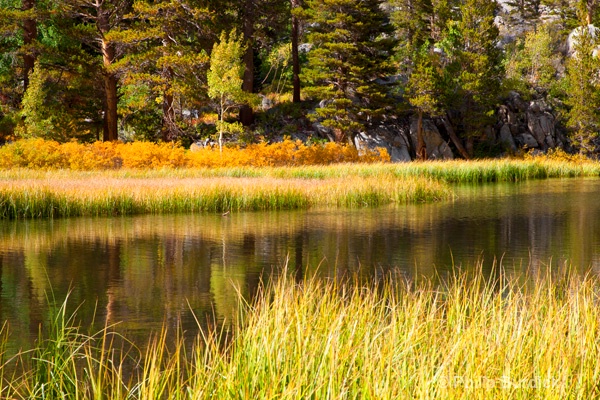 Sierra Reflections