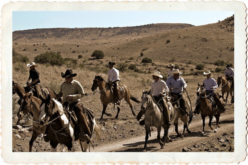 Cowboys long ride to Headquarters