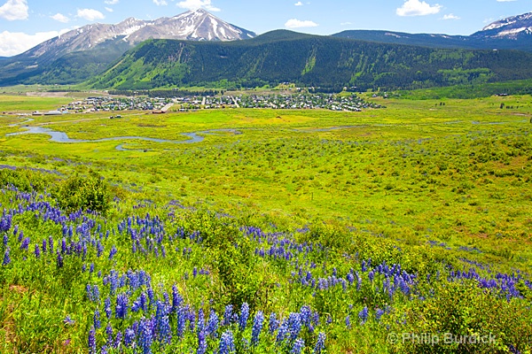 lupine trail vista