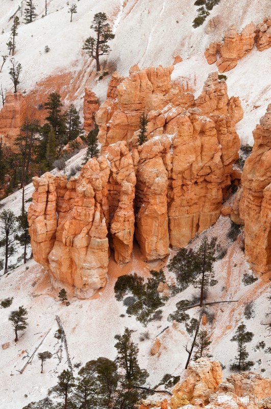 Snowy Hoodoos ~ Bryce Canyon National Park