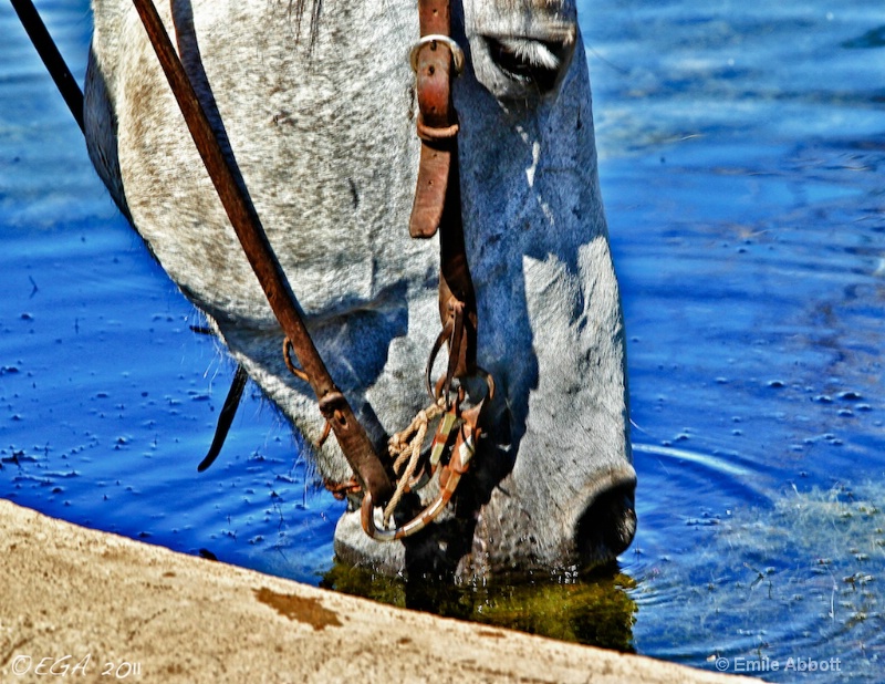 Quenching a thirst