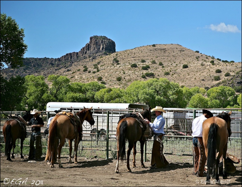 Unsaddling the mounts