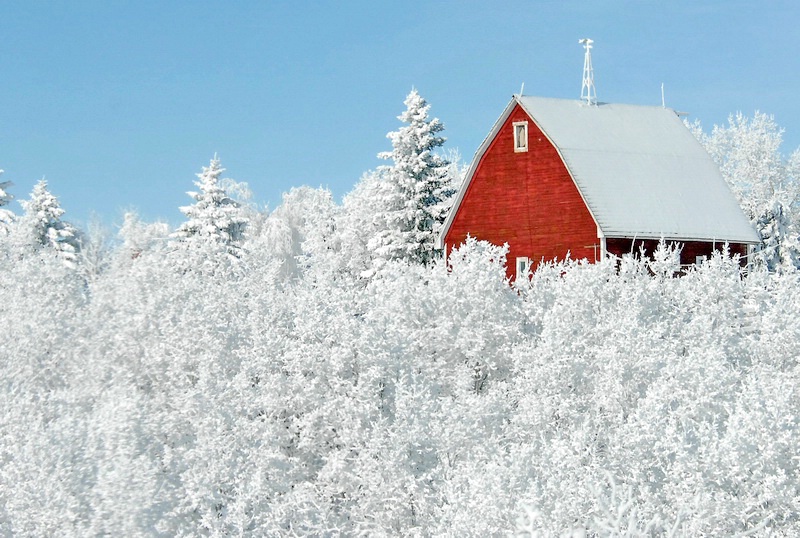 The Red Barn in Winter