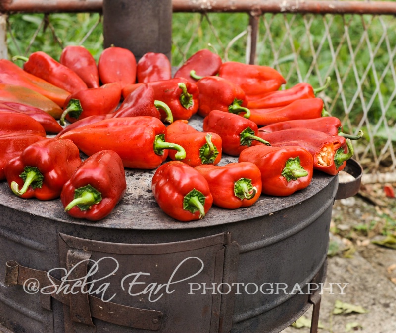 Roasted Red Peppers@@Albanian Style