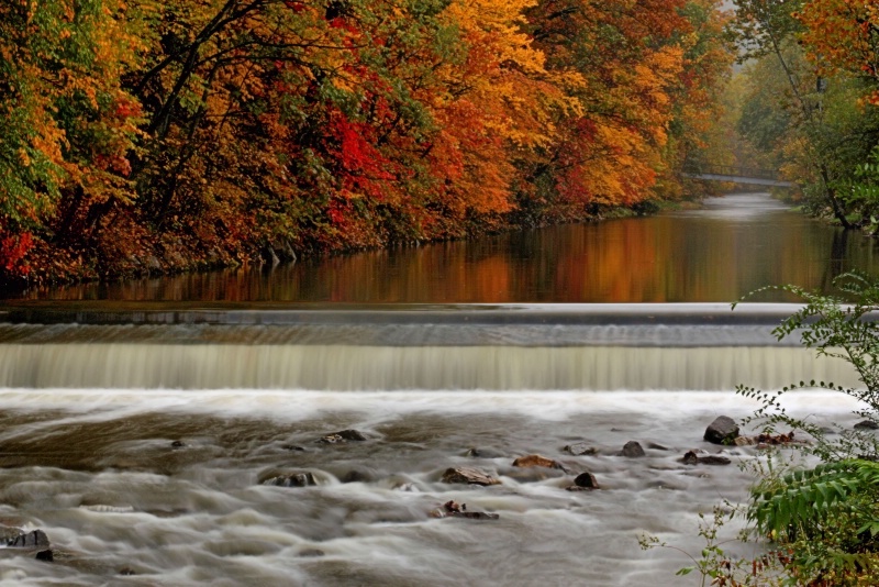 New Creek in the Fall