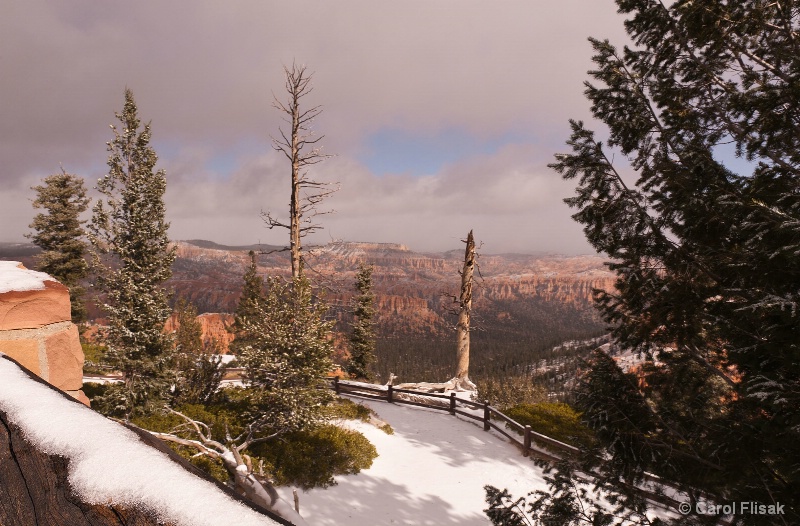Looking Like Christmas ~ Bryce Canyon