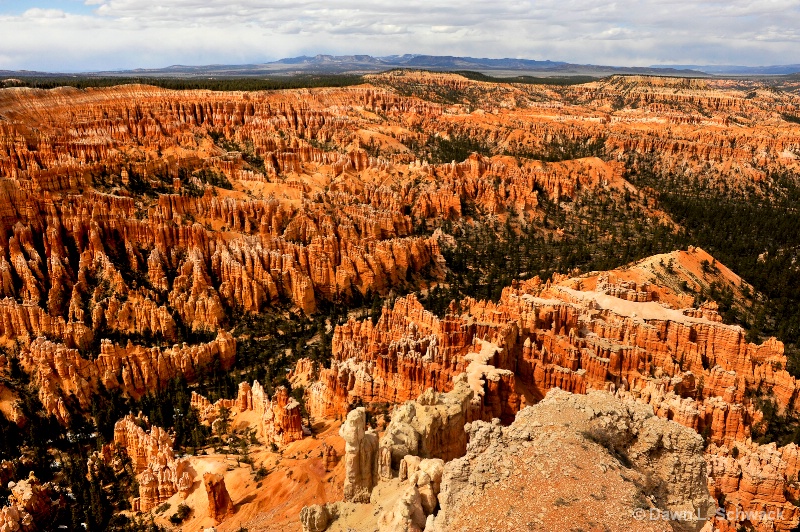 Bryce Viewpoint