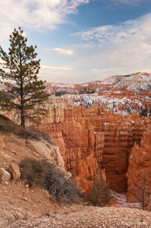 Solitude in Beauty ~ Bryce Canyon Nat'l Park