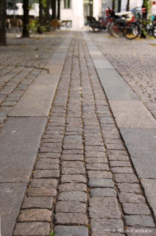 cobblestone path