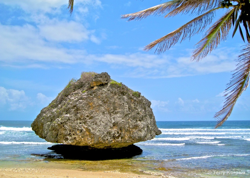 beach in Barbados