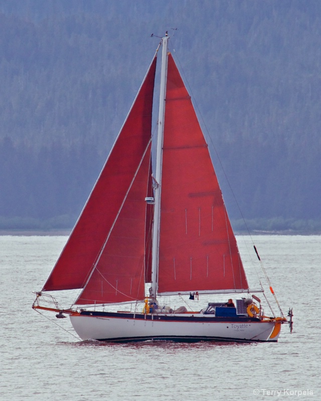 Sailboat in Juneau Alaska