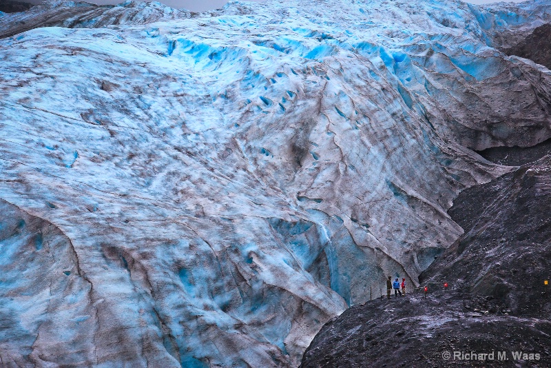 Exit Glacier II