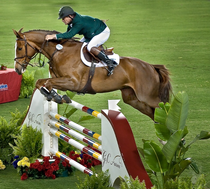 Horse jumping competition, Tampa, Florida