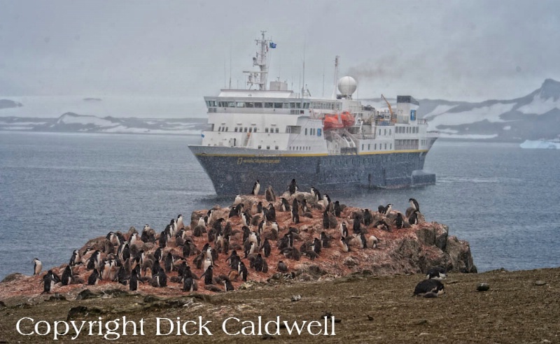 Penguin rookery and ship, Antarctica