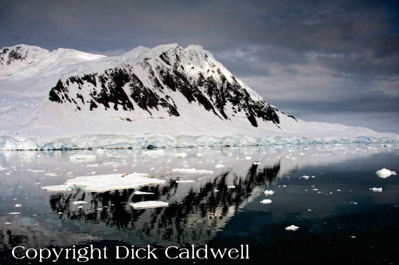 Reflections, Antarctica