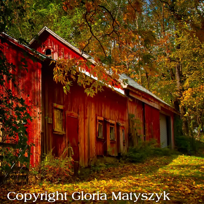 Old barn in autumn, Connecticut