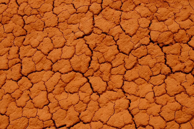 Dirt texture