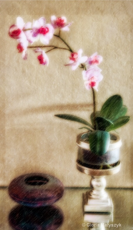 Orchid and raku pottery still life