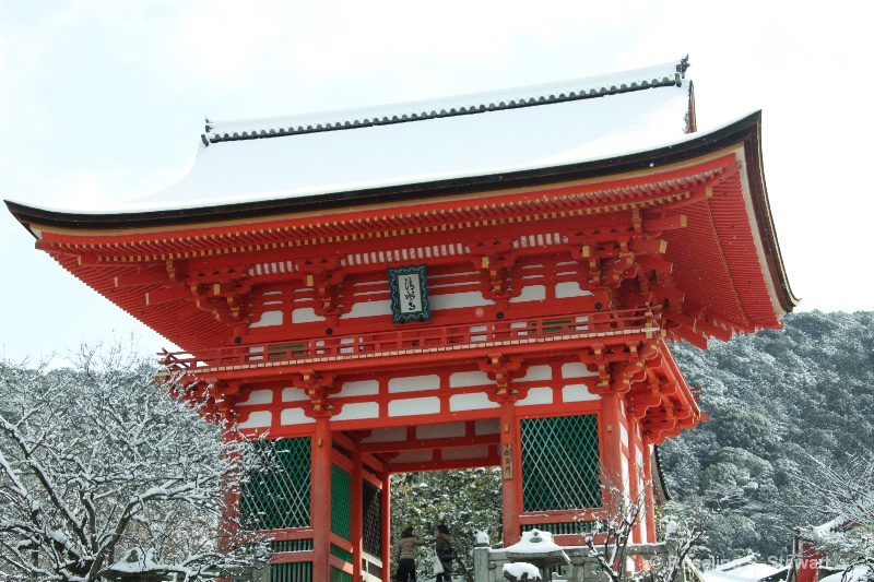 japan-293