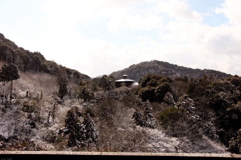 japan-300