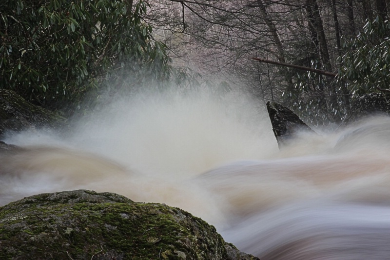 Wild Water