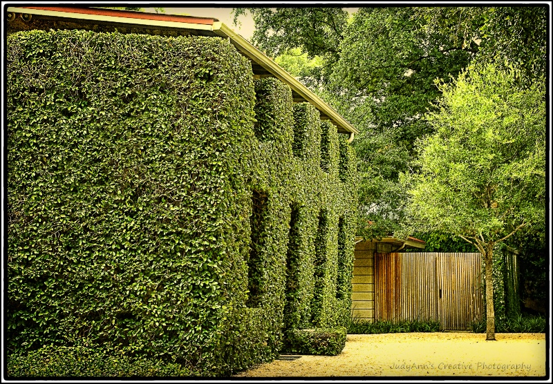 San Antonio Green