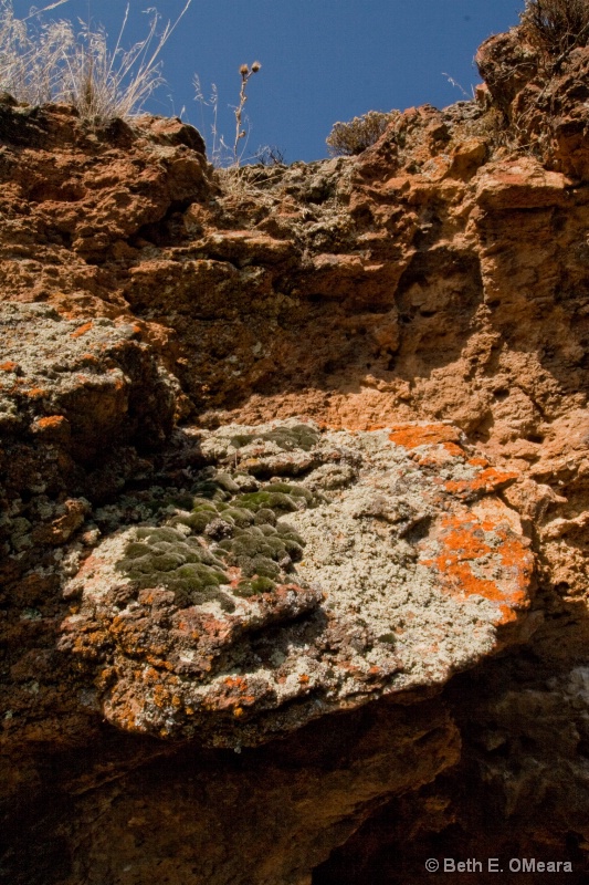 Rocks in the Owyhees - Moss