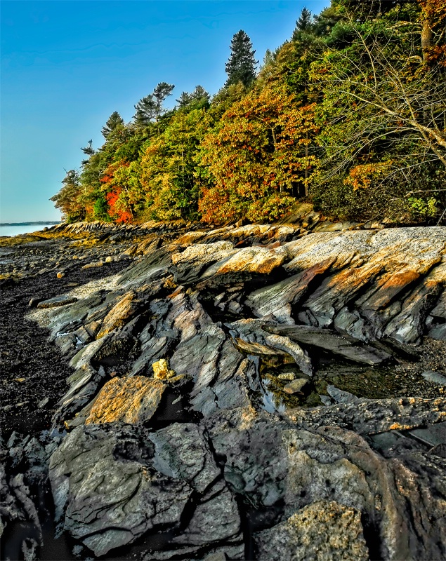 Maine rocky shore in Autumn