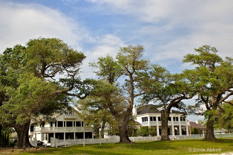 AnteBellum homes that survived Katrina