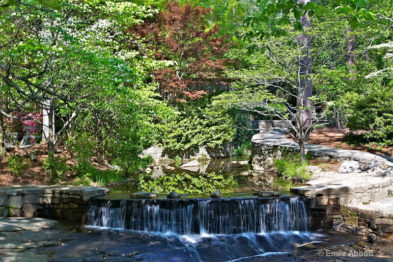 Spring walk in Stone Mountain Park