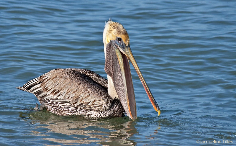 The Happy Fisherman