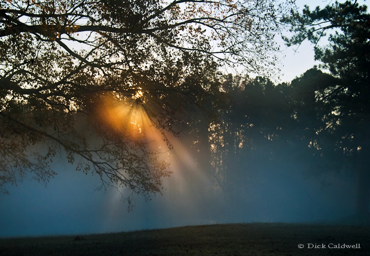 Sunflair and fog at Fayetteville, GA