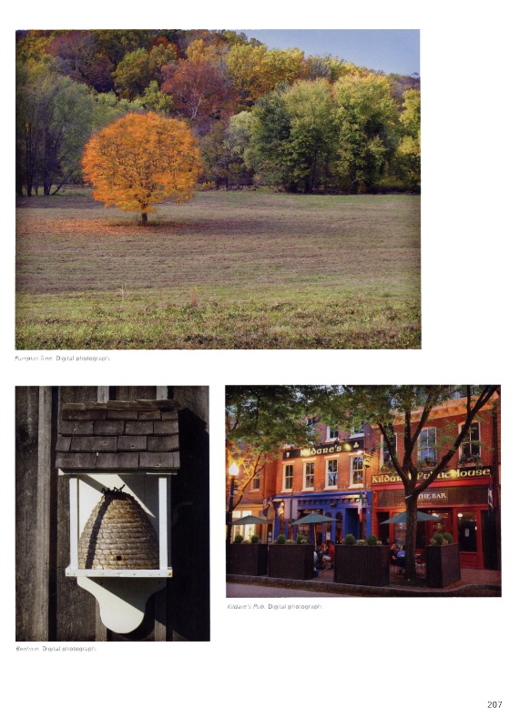 Page 207 - 100 Artists of the Brandywine Valley
